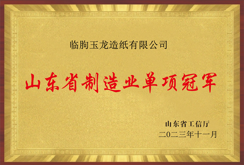 山東省制造業單項冠軍（臨朐玉龍造紙有限公司）